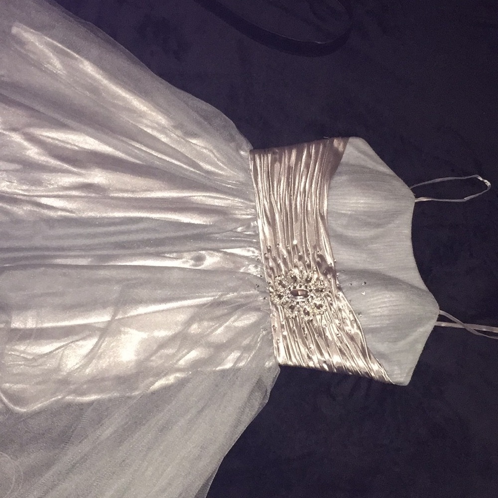 Gray Short Prom Dress (Large)